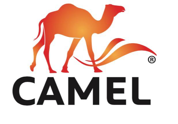 Camel Sandals